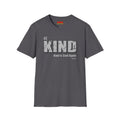 BE KIND T-Shirt — (BE KIND: Kind is Cool Again) Vintage Block Letter Tee